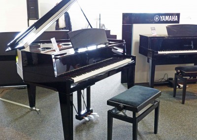 Musik Rumberger