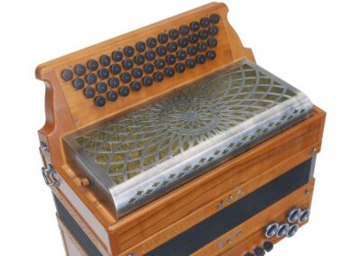 Steirische Harmonika AR PIX 50/18 DH - Indischer Apfel