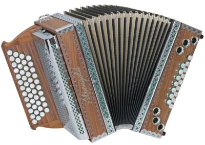 Steirische Harmonika Alpengold Stubach Klassik 36er - Nuss - grün