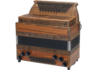 Steirische Harmonika Alpgengold Modell Bayern - Indischer Apfel