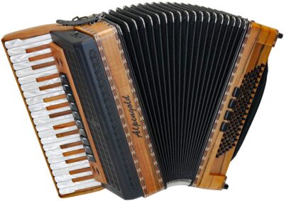 Akkordeon Alpengold Sinova 496 M - Indischer Apfel/schwarz